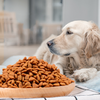 OUSHENG Series Adult Dog Food